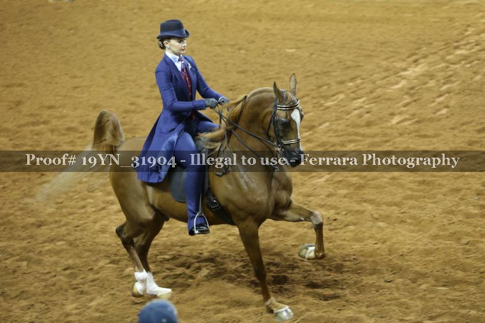Proof 19YN_31904