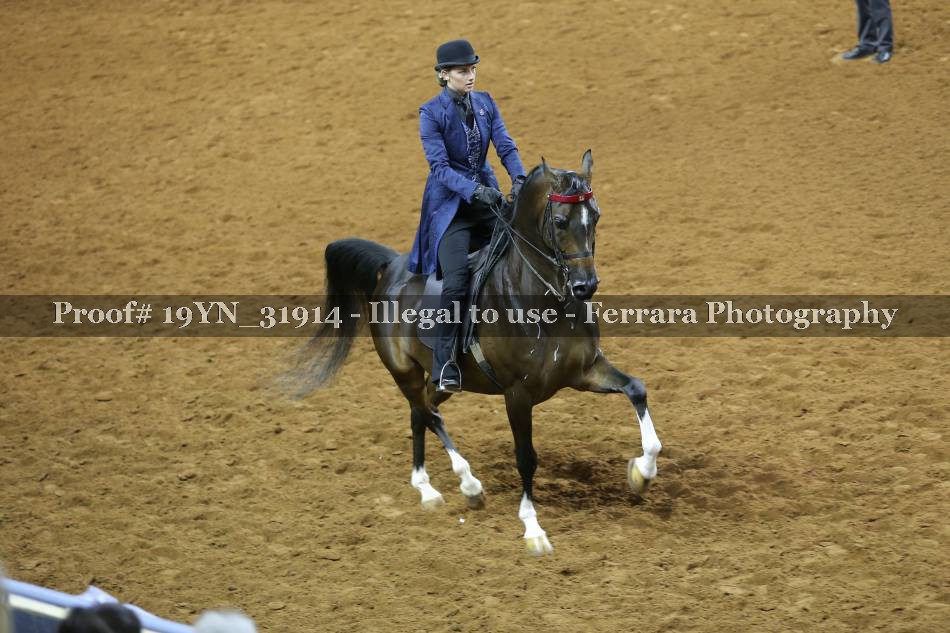 Proof 19YN_31914