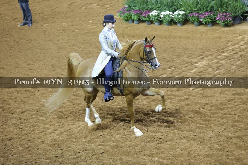 Proof 19YN_31915