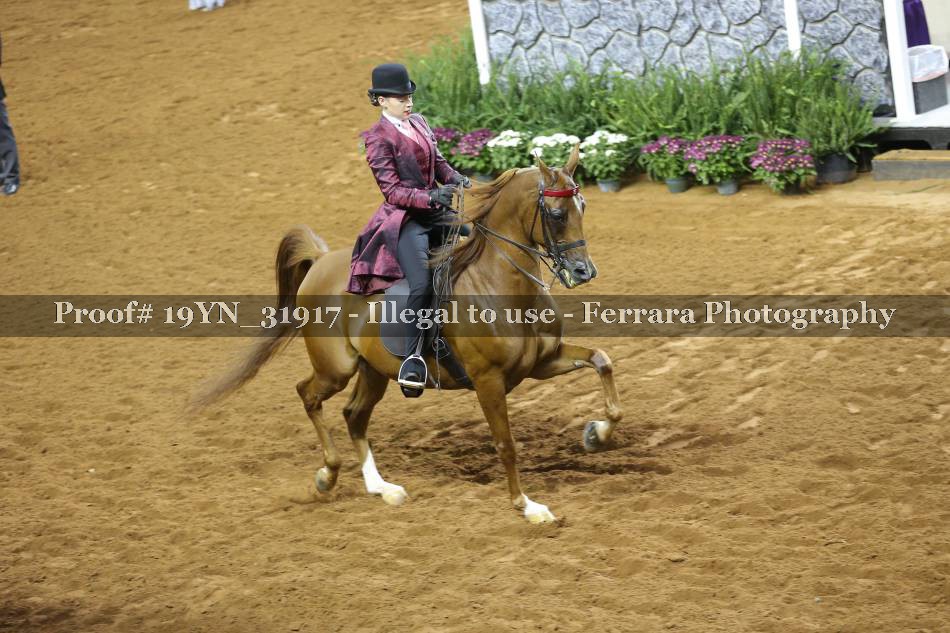 Proof 19YN_31917