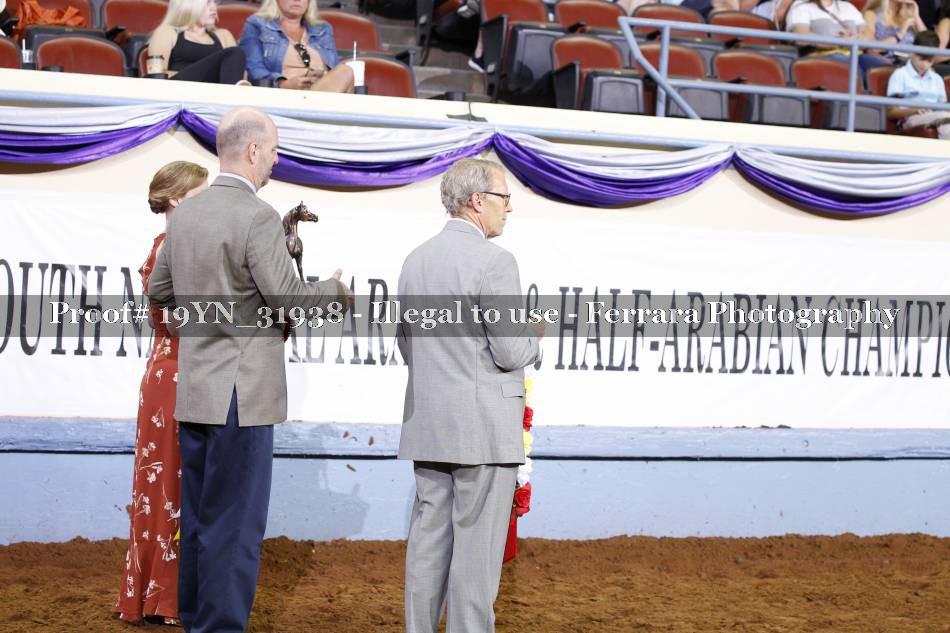 Proof 19YN_31938