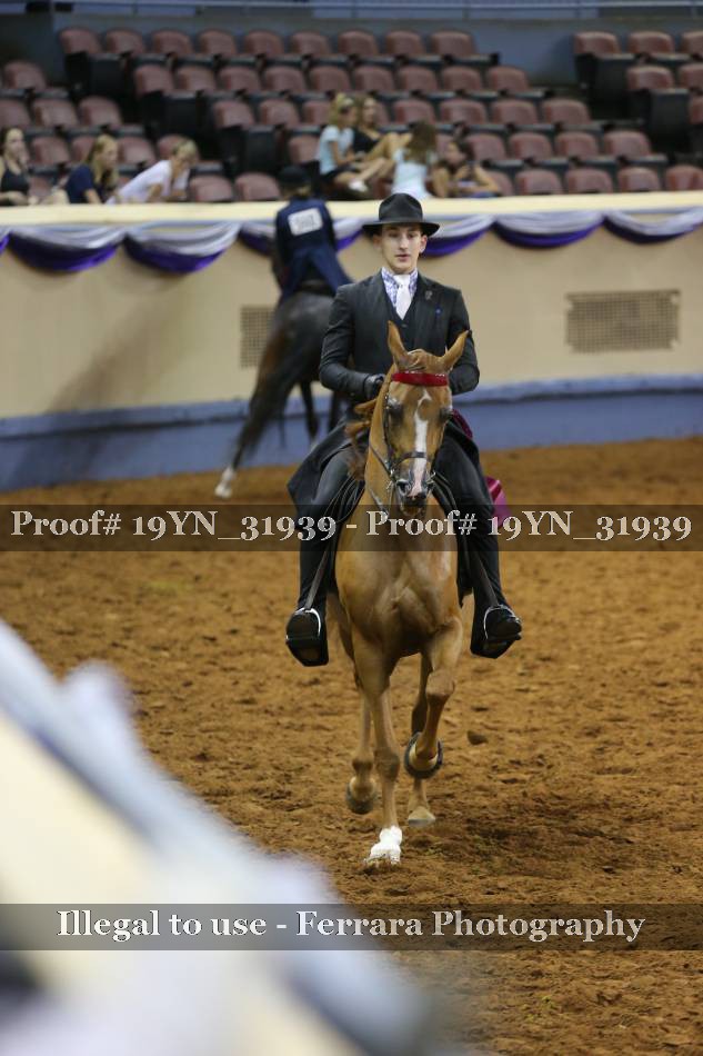 Proof 19YN_31939