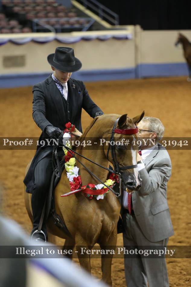 Proof 19YN_31942