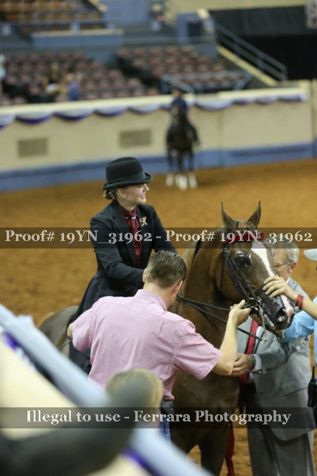 Proof 19YN_31962