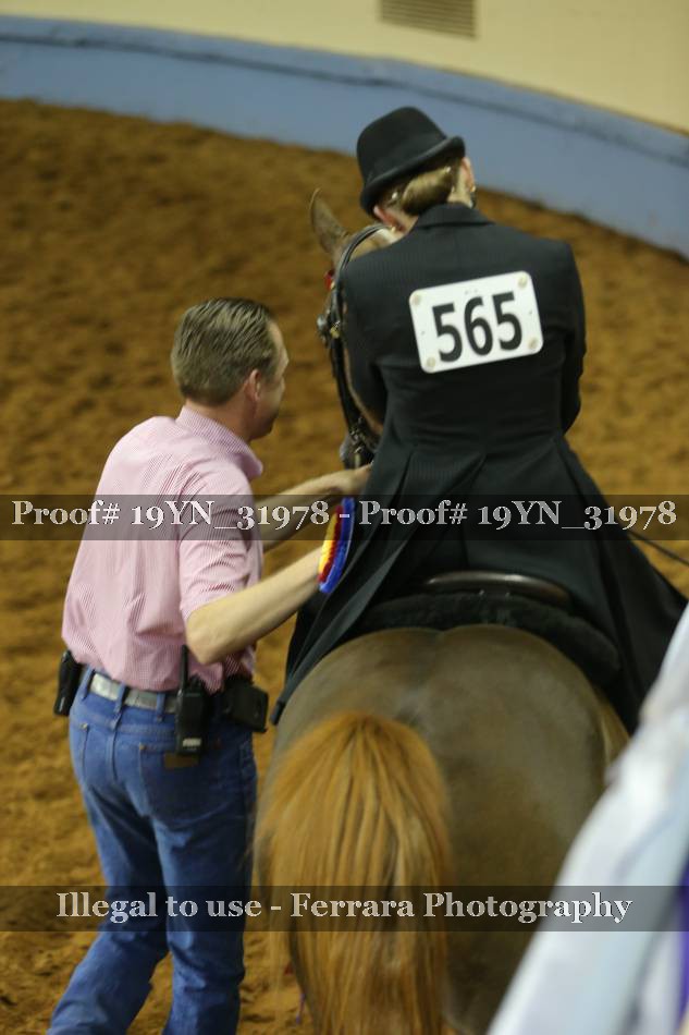 Proof 19YN_31978