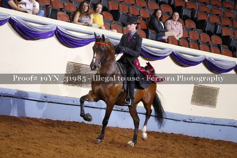 Proof 19YN_31985