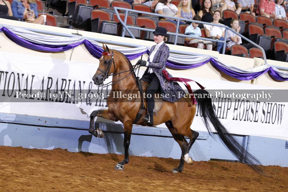 Proof 19YN_31993