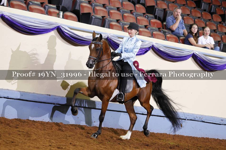 Proof 19YN_31996