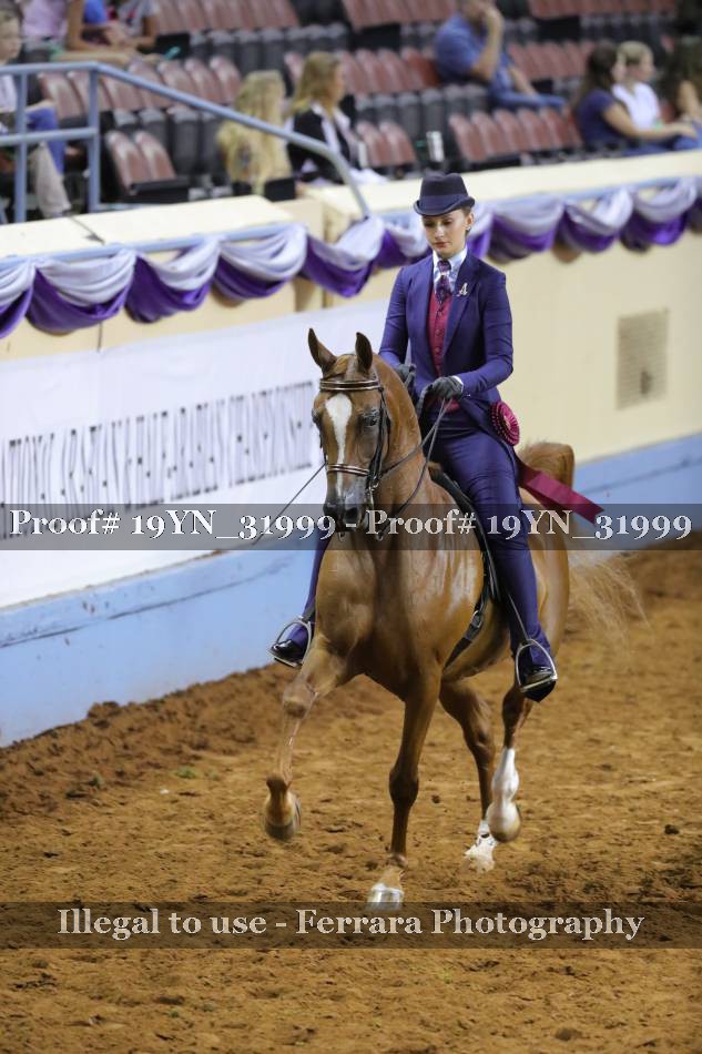 Proof 19YN_31999