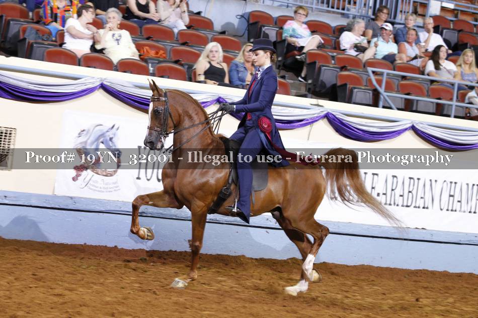 Proof 19YN_32001