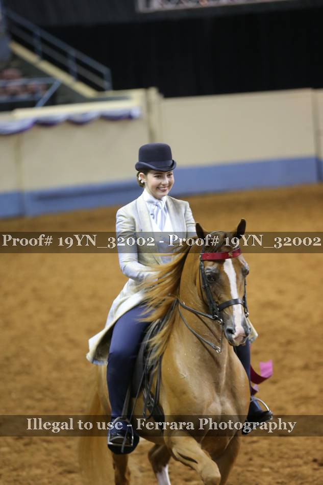 Proof 19YN_32002