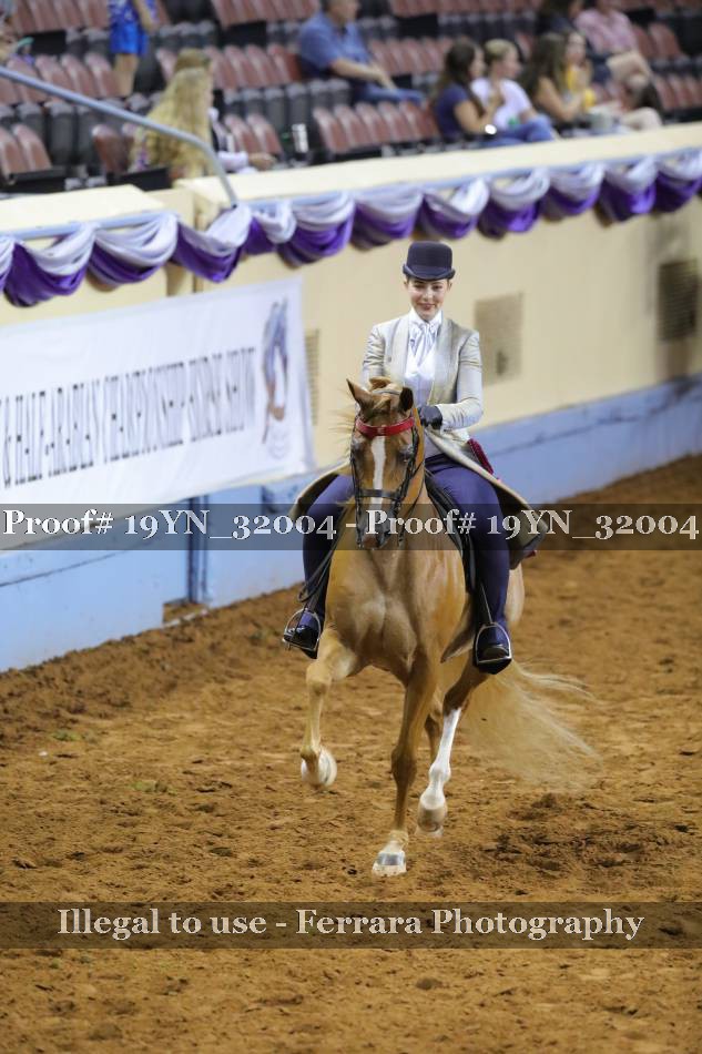 Proof 19YN_32004