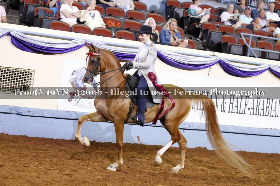Proof 19YN_32006