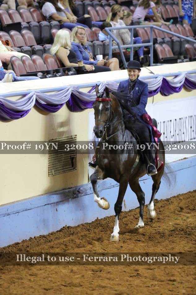 Proof 19YN_32008