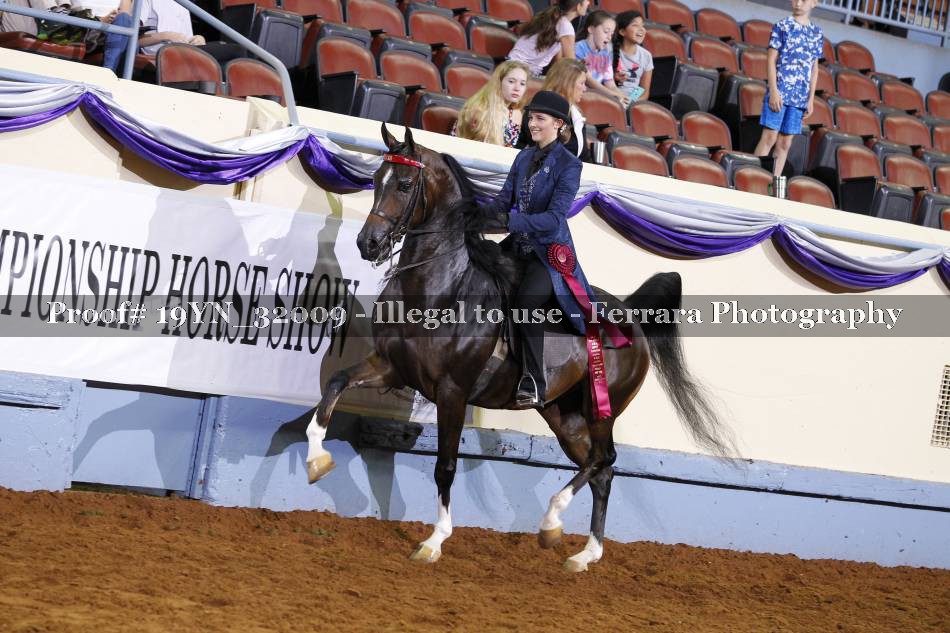 Proof 19YN_32009