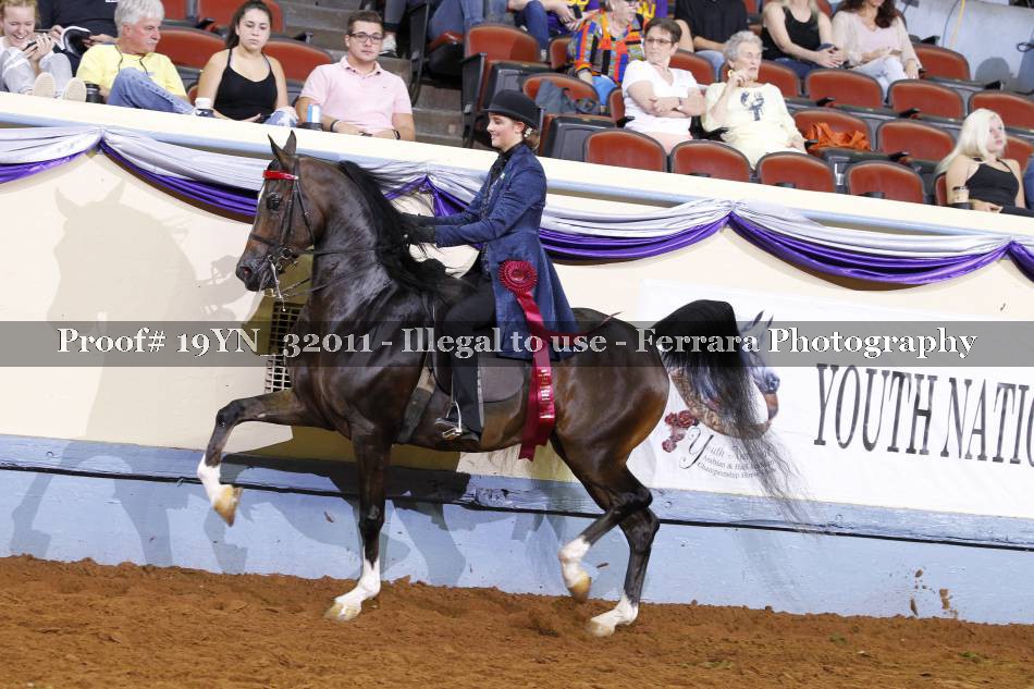 Proof 19YN_32011