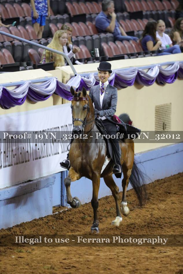 Proof 19YN_32012