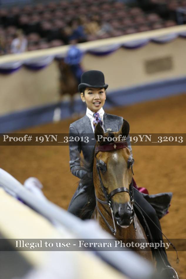 Proof 19YN_32013