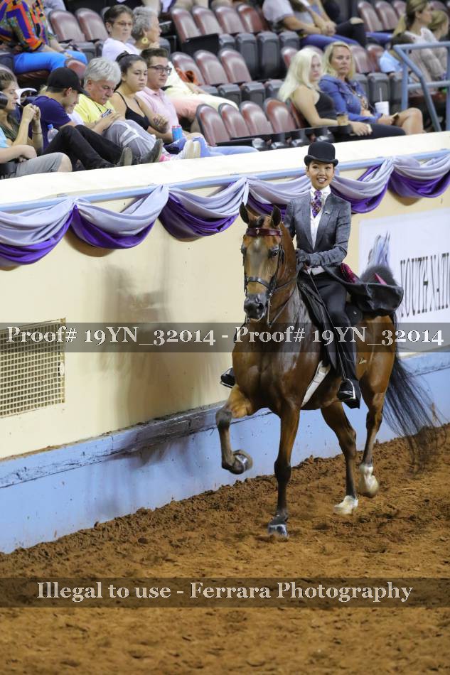Proof 19YN_32014