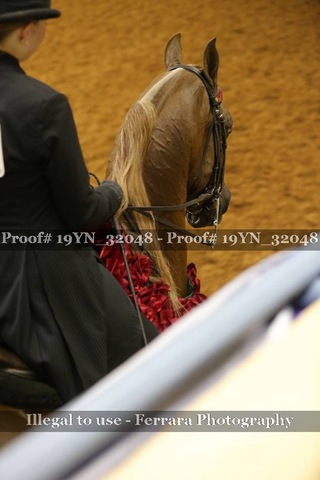 Proof 19YN_32048