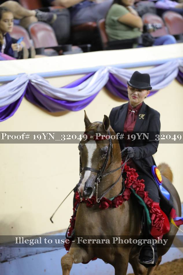 Proof 19YN_32049