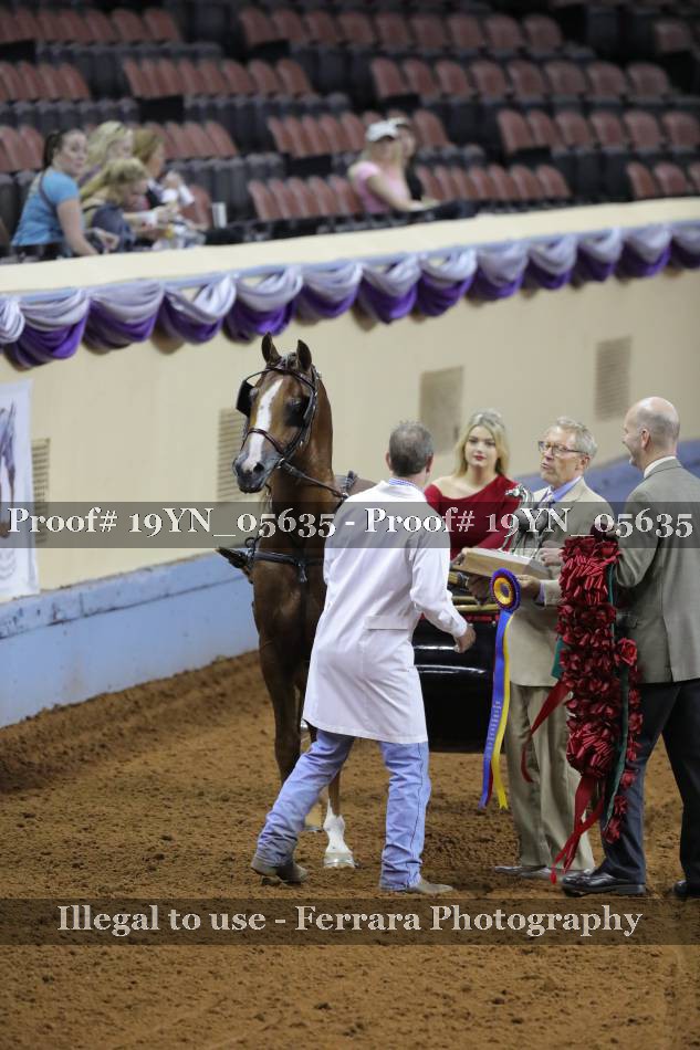 Proof 19YN_05635