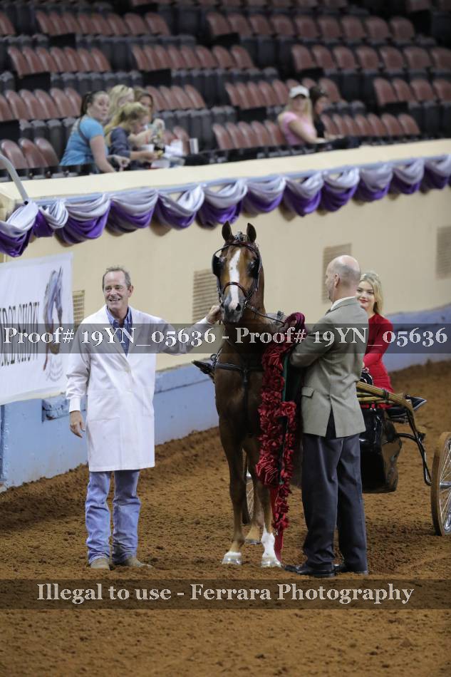 Proof 19YN_05636