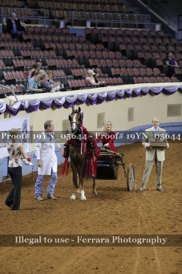 Proof 19YN_05644