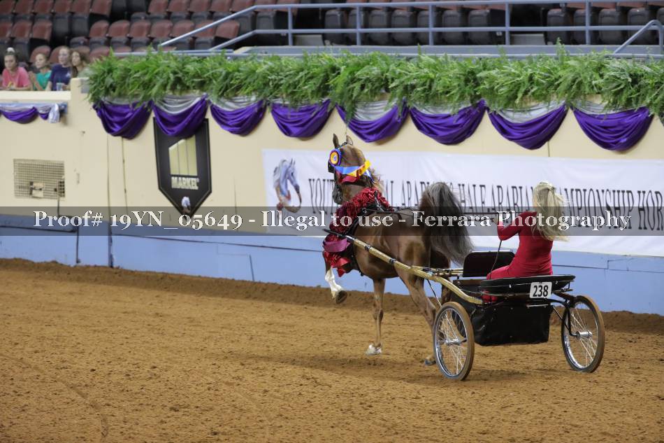 Proof 19YN_05649
