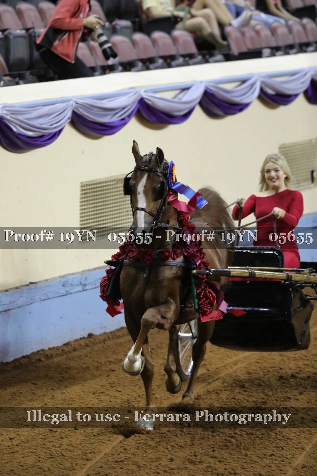Proof 19YN_05655