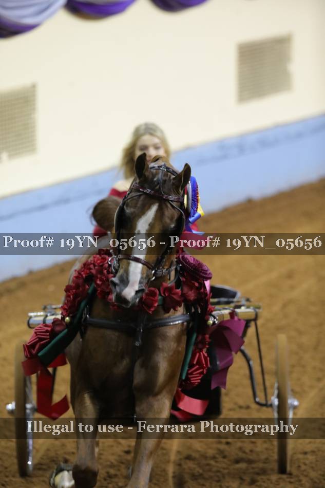 Proof 19YN_05656
