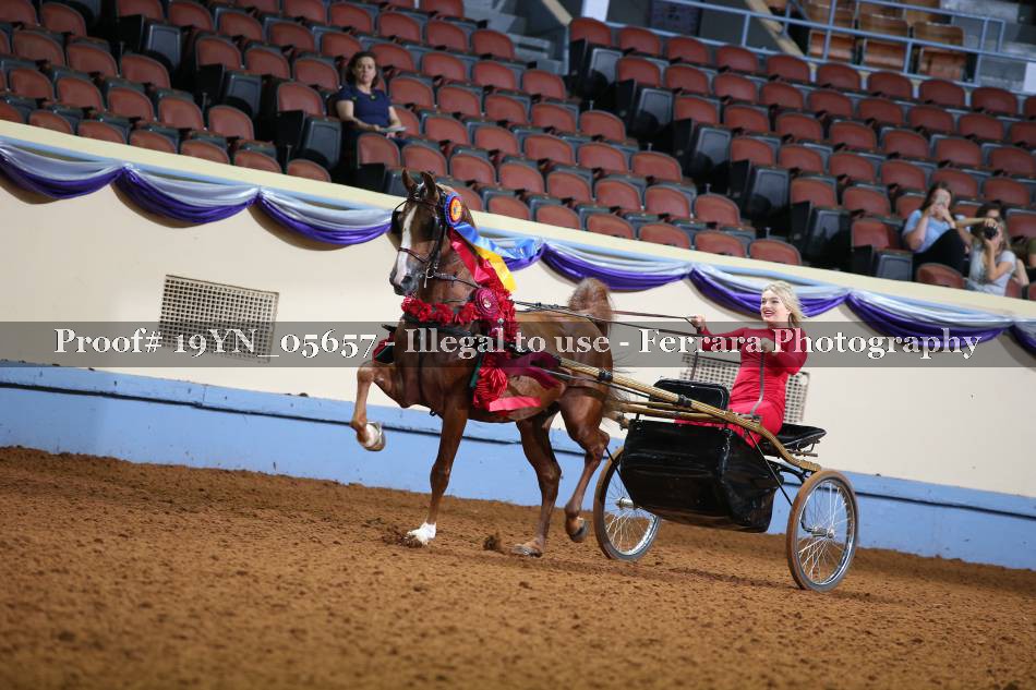 Proof 19YN_05657