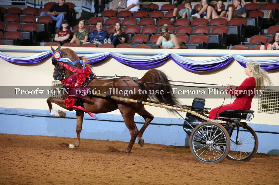 Proof 19YN_05661