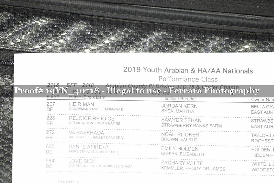 Proof 19YN_40718