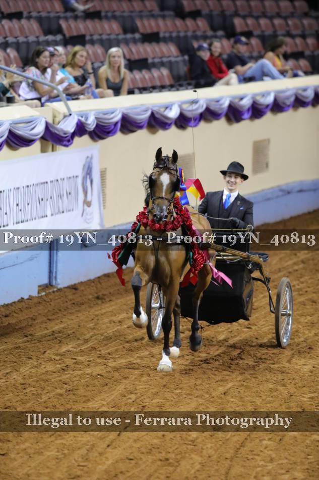 Proof 19YN_40813