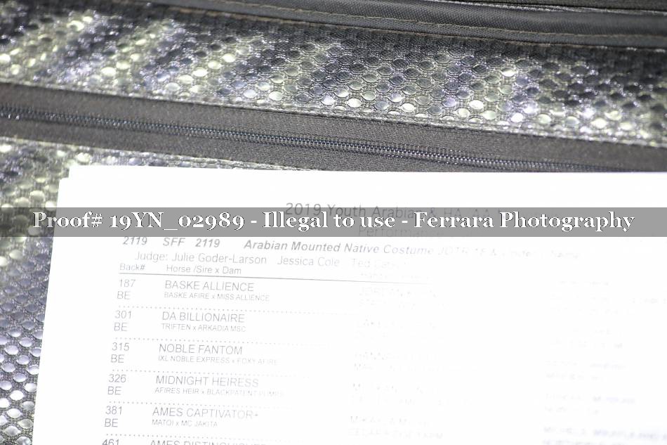 Proof 19YN_02989