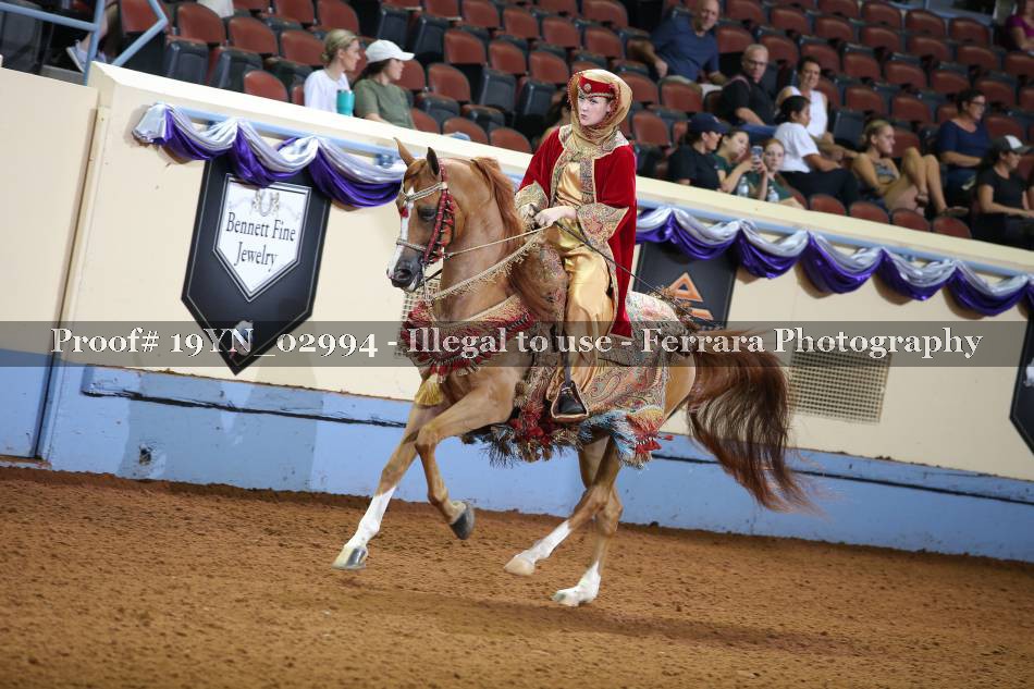 Proof 19YN_02994