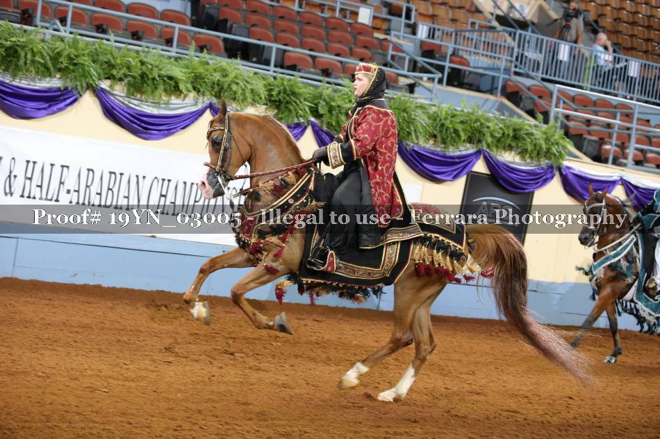 Proof 19YN_03005