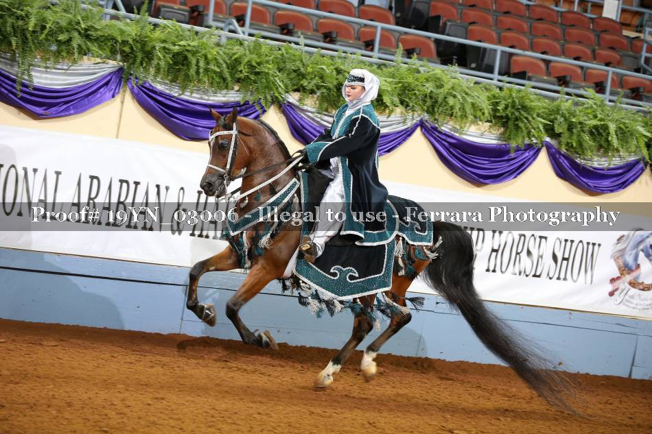 Proof 19YN_03006