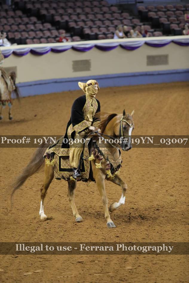 Proof 19YN_03007