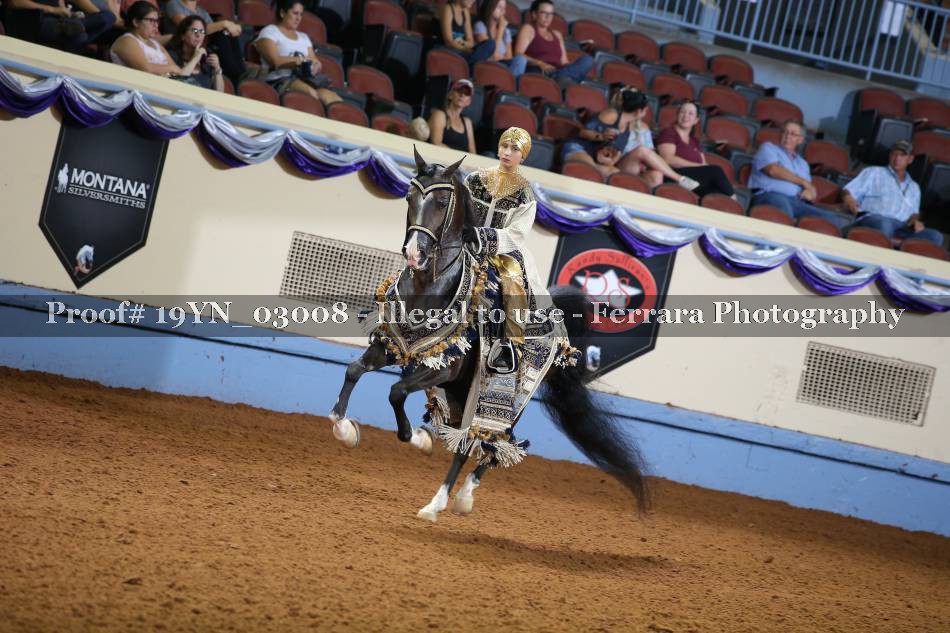 Proof 19YN_03008