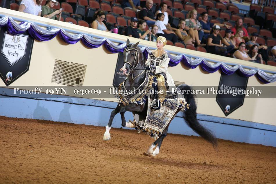 Proof 19YN_03009