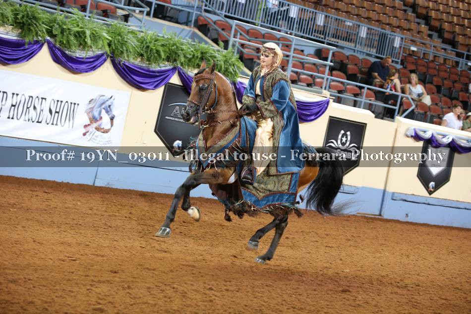 Proof 19YN_03011