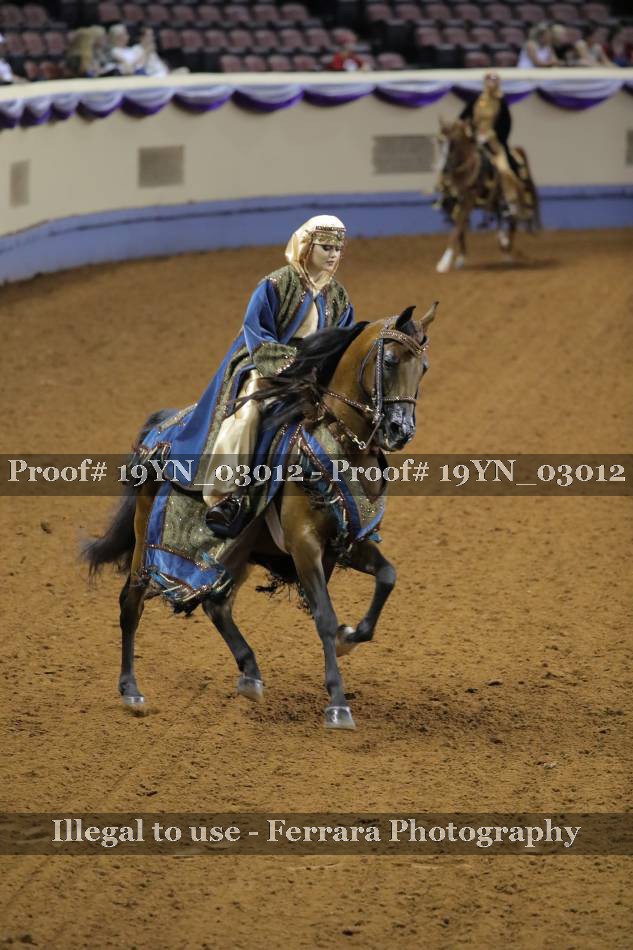 Proof 19YN_03012