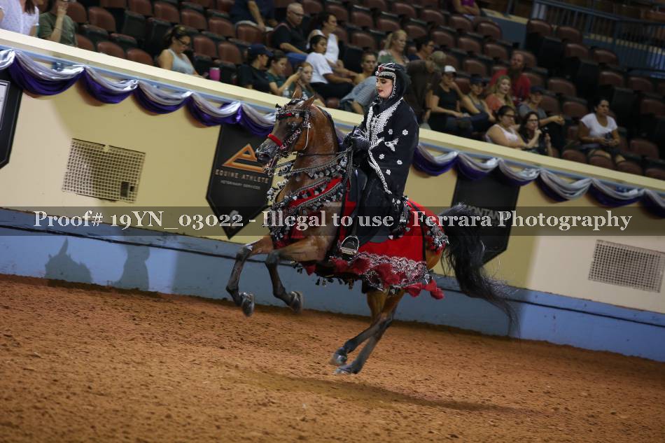 Proof 19YN_03022