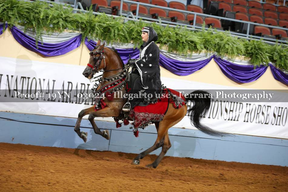 Proof 19YN_03024