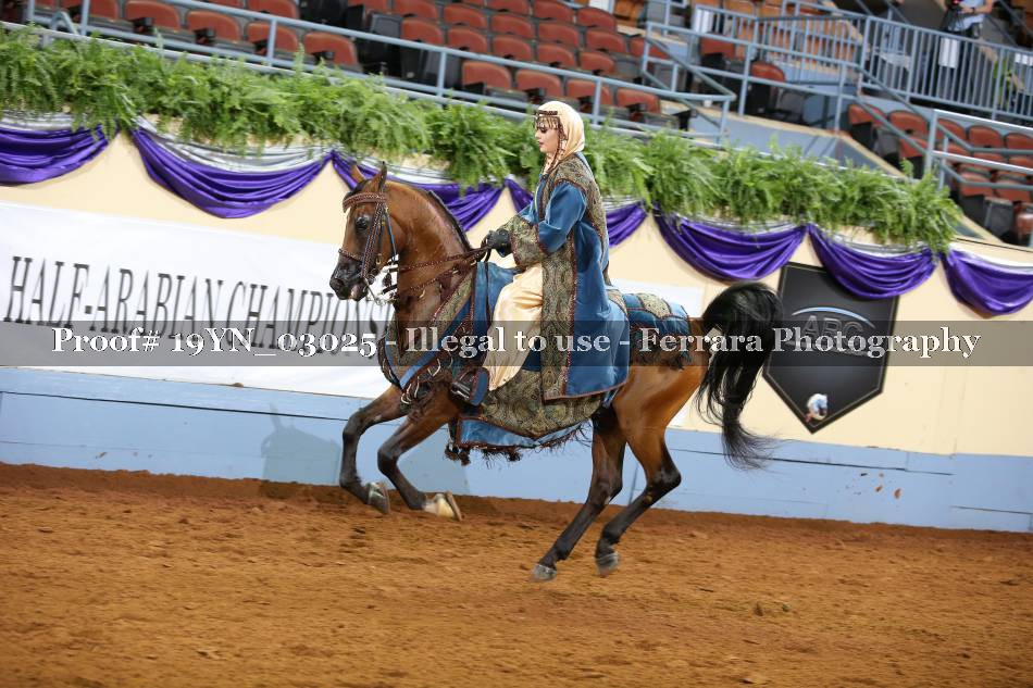 Proof 19YN_03025