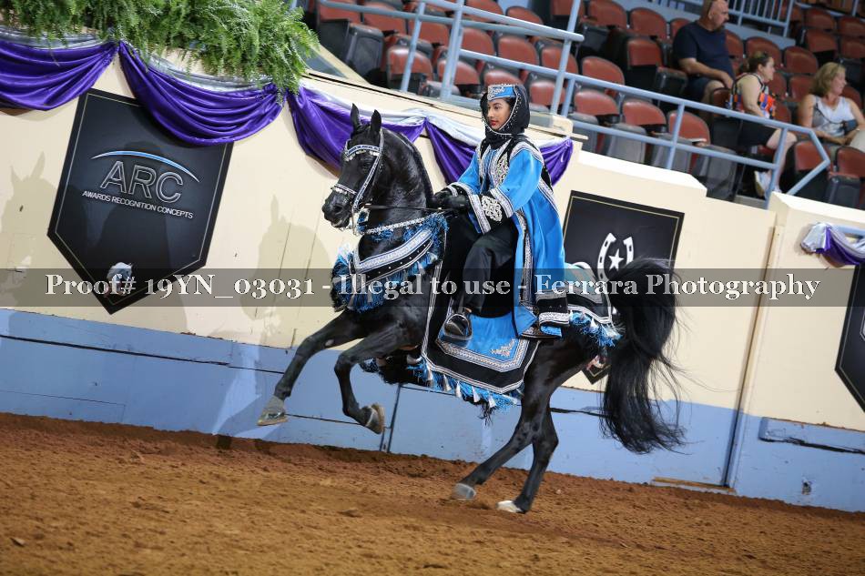 Proof 19YN_03031