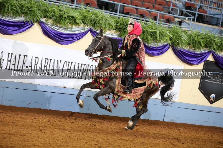 Proof 19YN_03033