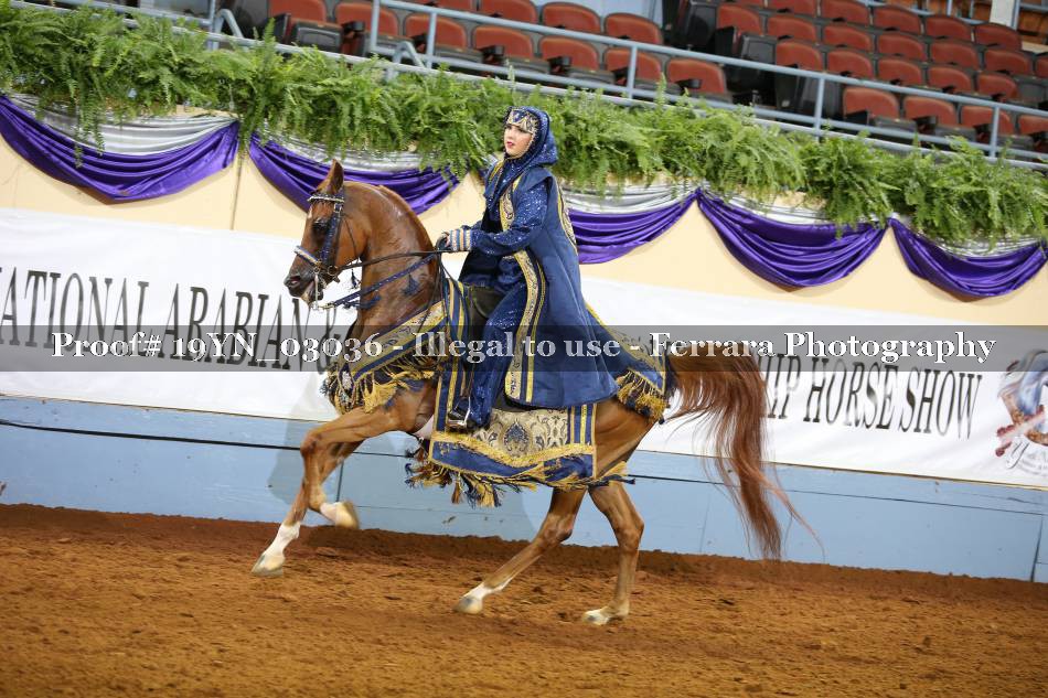 Proof 19YN_03036